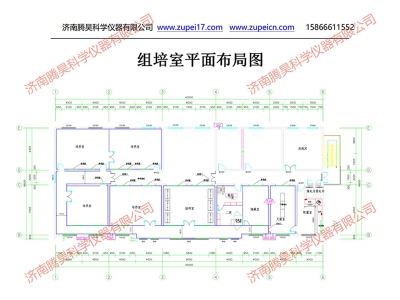濟寧午夜成人免费视频室設計