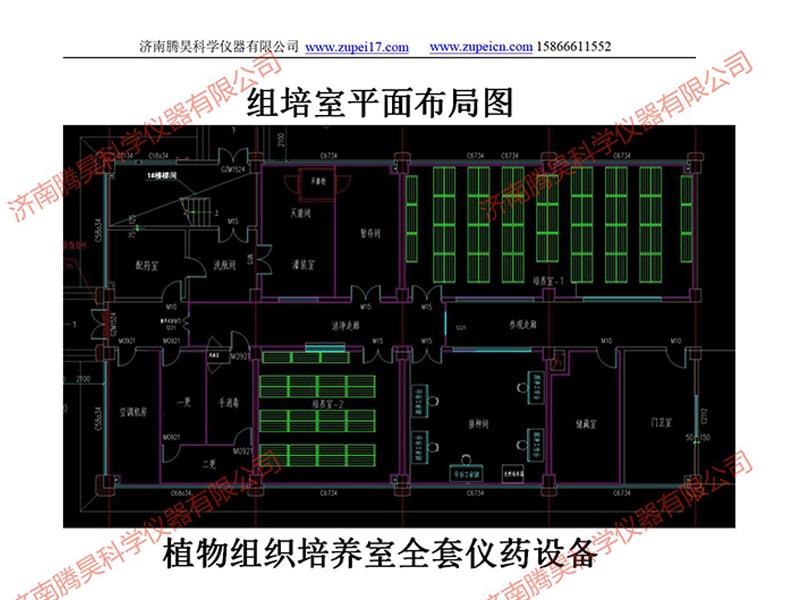 河北植物午夜成人免费视频室