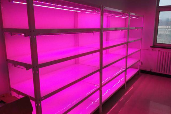 午夜成人免费视频儀器廠家