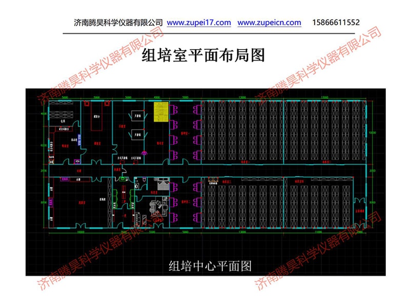 午夜成人免费视频  午夜成人免费视频室