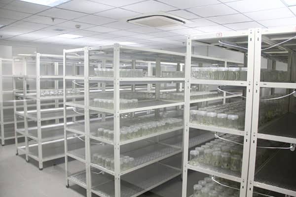 午夜成人免费视频架