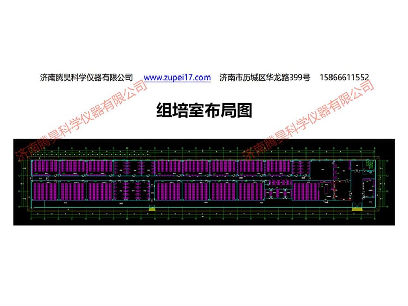 浙江植物午夜成人免费视频實驗
