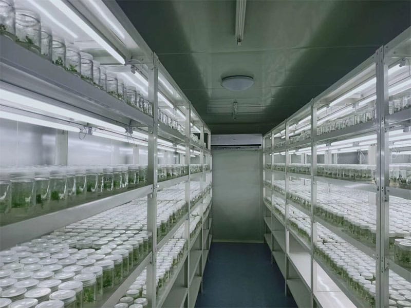 午夜成人免费视频  午夜成人免费视频架