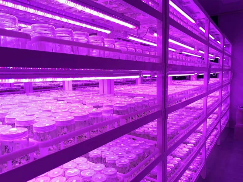 午夜成人免费视频  插扣式午夜成人免费视频架