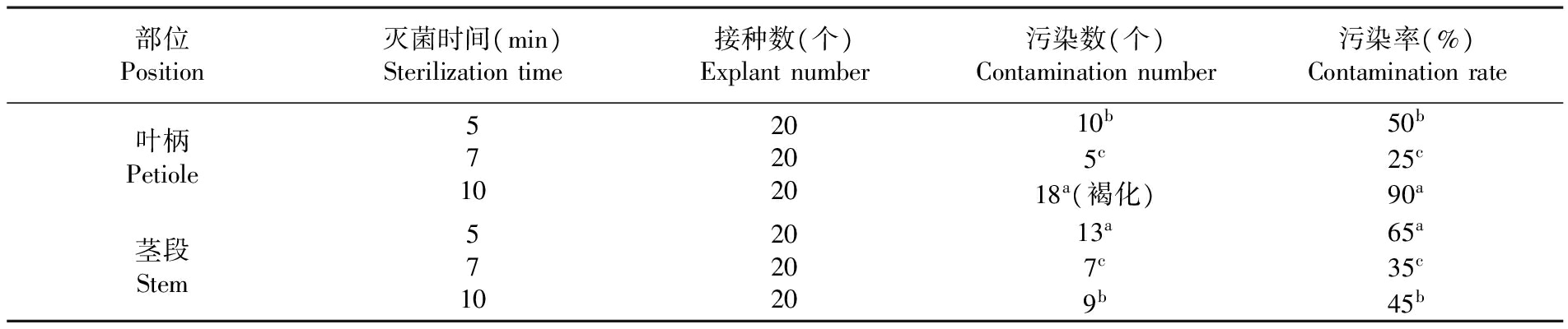 植物午夜成人免费视频設備