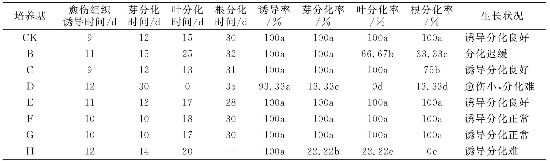 午夜成人免费视频設計圖