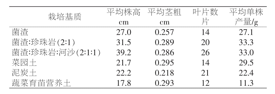 午夜成人免费视频室設計