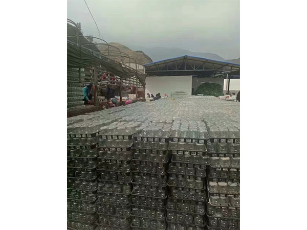 午夜成人免费视频室設計