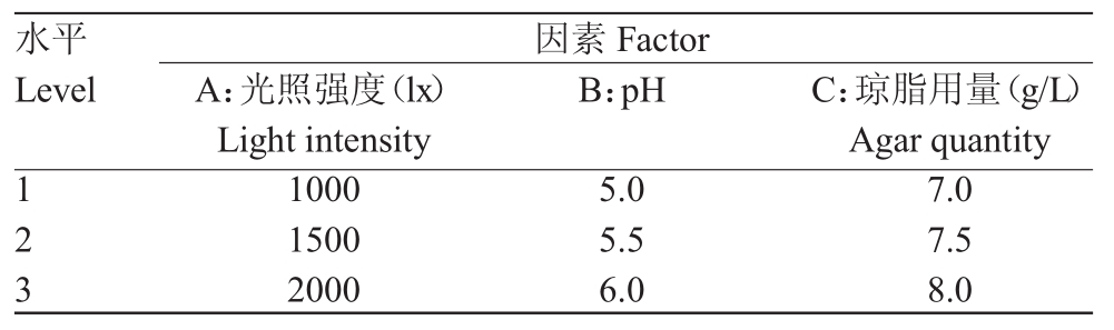 午夜成人免费视频室設計