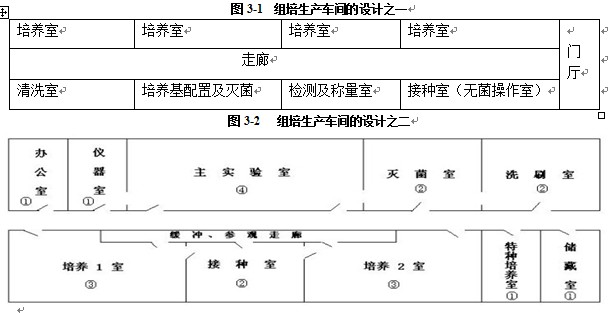 午夜成人免费视频室設計