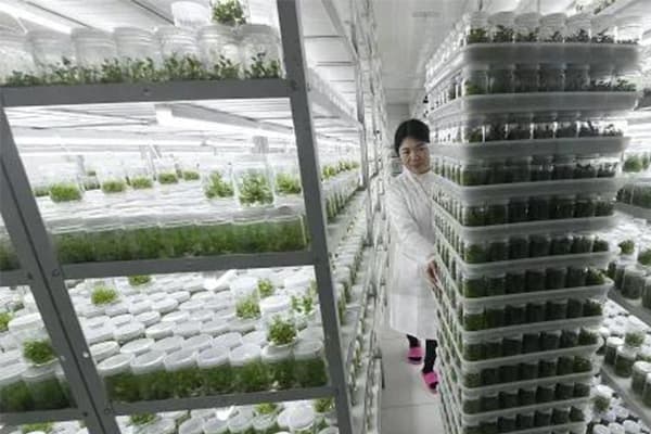 植物午夜成人免费视频