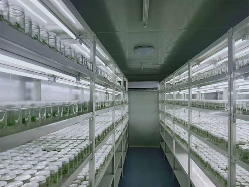 午夜成人免费视频  午夜成人免费视频設備  植物午夜成人免费视频