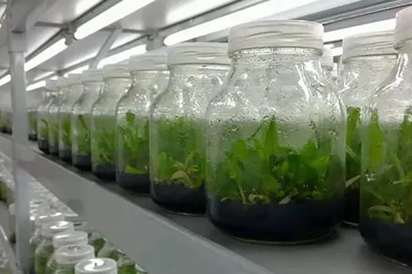 午夜成人免费视频設備