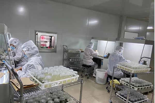 午夜成人免费视频
