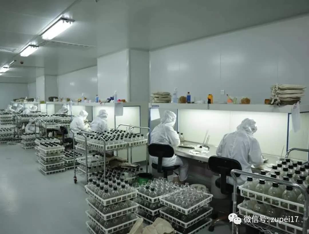 午夜成人免费视频